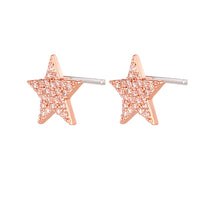 Carica l&#39;immagine nel visualizzatore di Gallery, Mono Orecchino Symbol Stud Gold &amp; Rose
