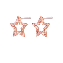 Carica l&#39;immagine nel visualizzatore di Gallery, Mono Orecchino Symbol Stud Gold &amp; Rose
